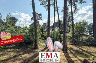 Grundstück zu kaufen in 14621 Schönwalde-Glien, Zwei Einfamilienhäuser auf einem Grundstück