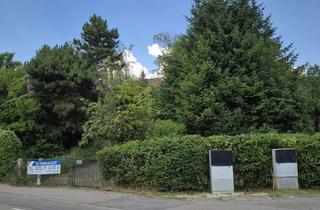 Grundstück zu kaufen in 73431 Aalen, Liebe auf den 2. Blick !1.500 m² Baugrundstück in Aalen