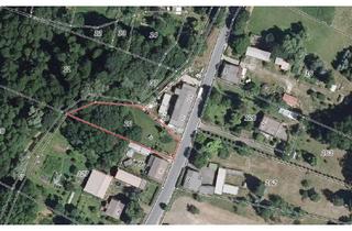 Grundstück zu kaufen in 15306 Vierlinden, Baulandfläche in Görlsdorf (MOL)