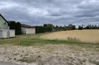 Grundstück zu kaufen in 15837 Baruth, Naturnahes Wohnen: Großes Baugrundstück für Ihr individuelles Familienheim