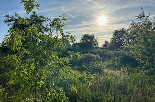 Grundstück zu kaufen in 63150 Heusenstamm, Grundstück im Mischgebiet von Heusenstamm – Wohnen und Arbeiten kombinieren