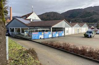 Geschäftslokal mieten in Industriestraße, 79664 Wehr, großflächige Einzelhandelsflächen in einem etablierten, frequenzstarken Fachmarktzentrum