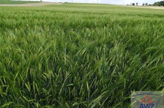 Gewerbeimmobilie kaufen in 91230 Happurg, Ackerland mit ca. 1,7 Hektar zu verkaufen!