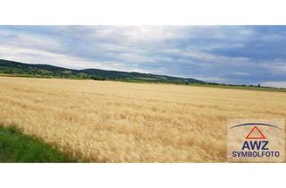 Gewerbeimmobilie kaufen in 91230 Happurg, Acker mit ca. 4,4 Hektar!