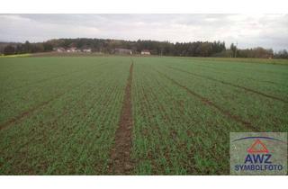 Gewerbeimmobilie kaufen in 91230 Happurg, Acker mit ca. 1,3 Hektar!