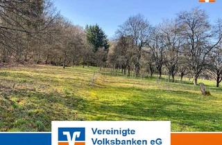 Gewerbeimmobilie kaufen in 71116 Gärtringen, Landwirtschaftliche Fläche - Obstwiese und Waldanteil inklusive