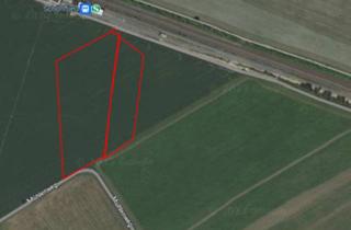 Gewerbeimmobilie kaufen in 16567 Mühlenbeck, Großzügige Landwirtschaftsfläche im Mühlenbecker Land