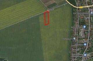 Gewerbeimmobilie kaufen in 16567 Mühlenbeck, Attraktive Landwirtschaftsfläche in Schönfließ