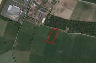 Gewerbeimmobilie kaufen in 16567 Mühlenbeck, Landwirtschaftsfläche am Ortsrand Perwenitz