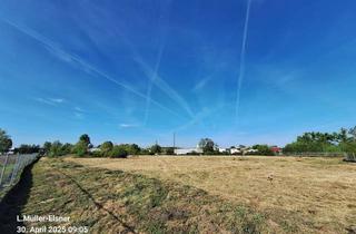 Gewerbeimmobilie kaufen in 14612 Falkensee, Gewerbefläche in Falkensee