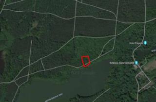 Gewerbeimmobilie kaufen in 16567 Mühlenbeck, großes Forstgrundstück am Mühlenbecker See