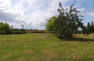 Grundstück zu kaufen in 18513 Deyelsdorf, Grundstück in kleinem Dorf 35km von der Ostsee entfernt