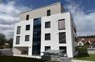 Wohnung mieten in 72336 Balingen, Moderne 3-Zimmer-Wohnung im Zentrum von Balingen