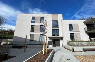 Wohnung mieten in 79379 Müllheim, Hochwertige 2-Zi.-Neubauwohnung mit Balkon