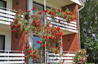 Wohnung mieten in 26434 Wangerland, Rosige Zeiten! Wohnung im Reihenhaus-Stil direkt am Deich: 2 Wohneinheiten, 2 Küchen, 2 Bäder!