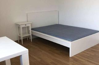 Wohnung mieten in Ziegelhüttenstraße, 63628 Bad Soden-Salmünster, 1-Zimmer Appartement