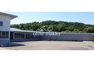 Büro zu mieten in 66130 Güdingen, Lager- und Produktionshalle 399m² mit 5 Laderampen + 45 m² (oder größer) Büro Nähe Saarbrücken