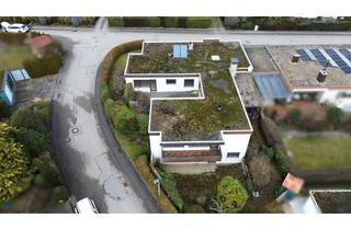 Villa kaufen in 71083 Herrenberg, Provisionsfrei! Schmuckstück Herrenbergs - Bungalow-Villa in traumhafter Lage