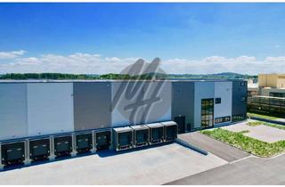 Büro zu mieten in 65795 Hattersheim, KEINE PROVISION ✓ NEUBAU / ERSTBEZUG ✓ WGK 3 ✓ Lager-/Logistik (11.000 m²) & Büro (700 m²)