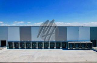 Büro zu mieten in 65439 Flörsheim, KEINE PROVISION ✓ NEUBAU / ERSTBEZUG ✓ WGK 3 ✓ Lager-/Logistik (11.000 m²) & Büro (700 m²)