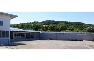 Büro zu mieten in Industriegebiet, 66130 Saarbrücken, Lager- und Produktionshalle 399m² mit 5 Laderampen + 45 m² (oder größer) Büro Nähe Saarbrücken