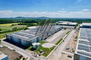 Büro zu mieten in 65795 Hattersheim, KEINE PROVISION ✓ NEUBAU / ERSTBEZUG ✓ WGK 3 ✓ Lager-/Logistik (65.000 m²) & Büro (5.000 m²)