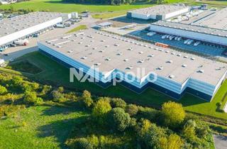 Gewerbeimmobilie mieten in 68642 Bürstadt, ! Repräsentative Logistikhalle ✩ ca. 25.000 m² Halle ✩ erstklassiger Zustand ✩ OHNE Provision !