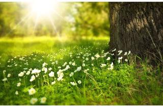 Grundstück zu kaufen in 46244 Grafenwald, Wunderschönes Grundstück in Bottrop - Mit Bien-Zenker wird Wohnen zum Erlebnis