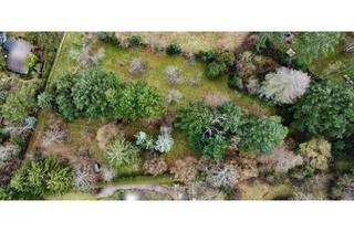 Grundstück zu kaufen in 67098 Bad Dürkheim, Seltene Gelegenheit: idyllisches Wochenendgrundstück inmitten der Natur