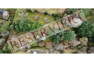 Grundstück zu kaufen in 67098 Bad Dürkheim, Seltene Gelegenheit: idyllisches Wochenendgrundstück inmitten der Natur