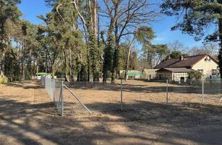 Gewerbeimmobilie kaufen in 15827 Blankenfelde-Mahlow, Gartengrundstück - Spekulationsobjekt im südlichen Speckgürtel