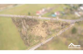 Grundstück zu kaufen in 39291 Lübars, Lübars - Großzügiges Grundstück in idyllischer Lage