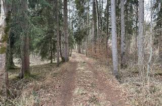Grundstück zu kaufen in 83539 Pfaffing, Gut erschlossene Waldfläche