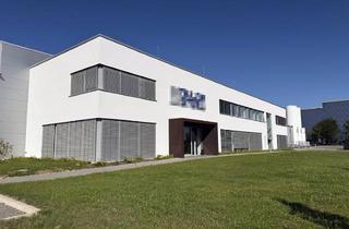 Büro zu mieten in 89129 Langenau, Ideales Vertriebsbüro in der Dachregion an der A7 sowie A8