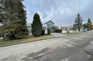 Gewerbeimmobilie kaufen in 88471 Laupheim, Firmenstandort mit Verwaltungs- und Vertriebsfläche