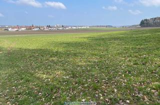 Immobilie kaufen in 86529 Schrobenhausen, Landwirtschaftliche Fläche - Wiese
