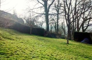 Mehrfamilienhaus kaufen in 34346 Hann. Münden, Hann. Münden - Wohnungspaket in der Schönen Aussicht 16 in Hann. Münden