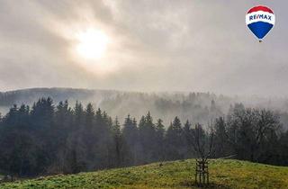 Mehrfamilienhaus kaufen in 79848 Bonndorf, Bonndorf - Idyllisches Wohnhaus mit Stall - ideal für Pferde-Tierhaltung oder Selbstversorgung in Brunnadern