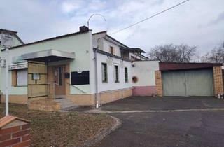 Mehrfamilienhaus kaufen in 03246 Crinitz, Crinitz - Haus mit Gewerbe und Grundstück