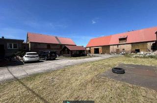 Bauernhaus kaufen in 16775 Löwenberger Land, Löwenberger Land - Idyllischer Vierseitenhof mit Stallungen, Scheune und weitläufigem Grundstück