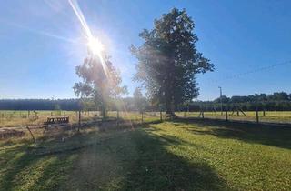 Bauernhaus kaufen in 03159 Döbern, Döbern - grosser Bauernhof