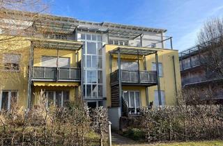 Wohnung kaufen in 79585 Steinen, Steinen - Bezugsfreie 2-Zimmer-Attika-Wohnung mit TG-Stellplatz, Hobbyraum, EBK in Steinen