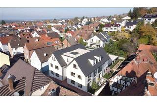Wohnung kaufen in 63755 Alzenau, Alzenau in Unterfranken / Hörstein - Vinea Hörstein! Stilvolle Obergeschosswohnung mit Balkon!