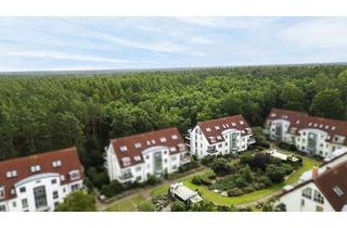 Wohnung kaufen in 14554 Seddiner See, Seddiner See - Vermietete 4-Zimmer-Wohnung mit modernisierten Fenstern und Balkon - frei zum 01.06.2026