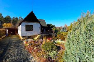 Haus kaufen in Kiefernberg 69, 08412 Werdau, großzügig ausgebautes Gartenhaus mit großem Garten, Pool, Kamin und Fernblick