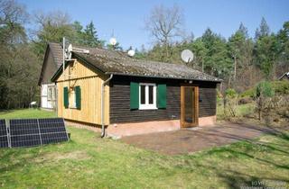 Haus mieten in 27801 Dötlingen, Ferien- und Wohnhaus mitten im Wald in Ostrittrum