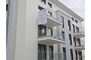 Wohnung mieten in Bergstr. 36, 74861 Neudenau, Moderne 4-Zimmer OG WG in Neudenau zu Vermieten