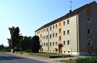 Wohnung mieten in Große Seite, 16303 Schwedt, 4-Zimmer-Wohnung mit Balkon im Ortsteil Briest