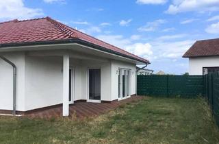 Wohnung mieten in 38539 Müden, Hübsche Erdgeschosswohnung mit gepflegtem Garten!