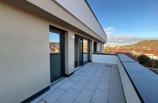 Wohnung mieten in Allee 82, 74072 Heilbronn, Neubau 2-Zimmer-Wohnung mit großzügigem Balkon und EBK